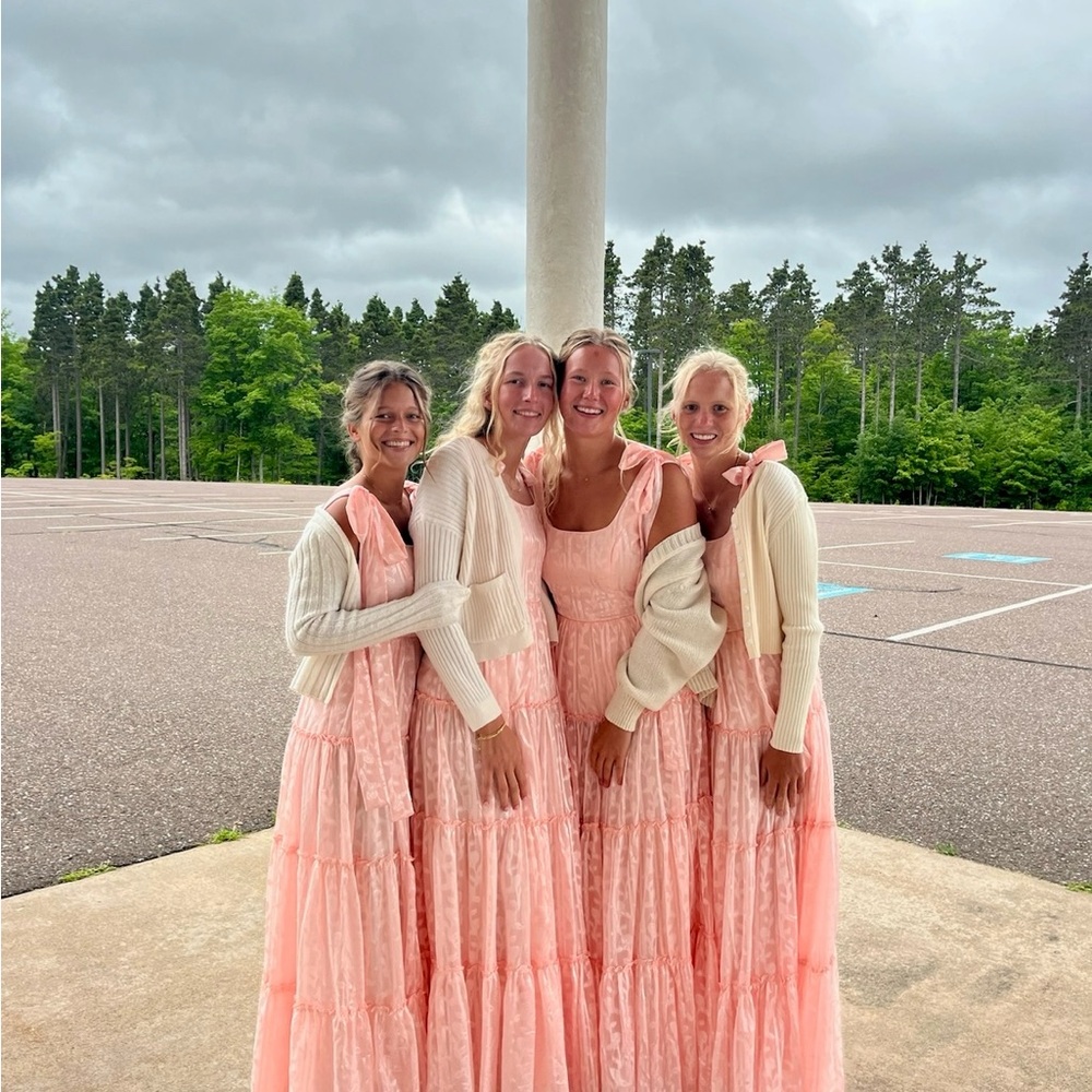 Picturesque Allure Blush Pink Jacquard Tie-Strap Maxi Dress - Picture 5 of 5